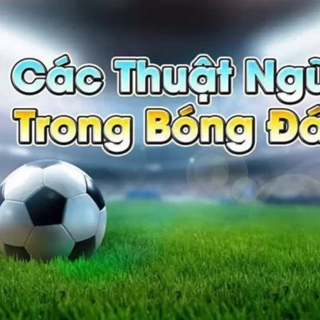 Tổng hợp những thuật ngữ cá độ bóng đá phổ biến thị trường Việt 